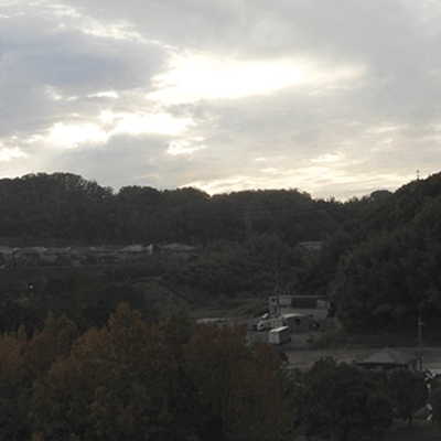 笹井研究室バイオX記事画像