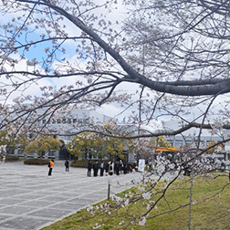 授業料・入学金イメージ図