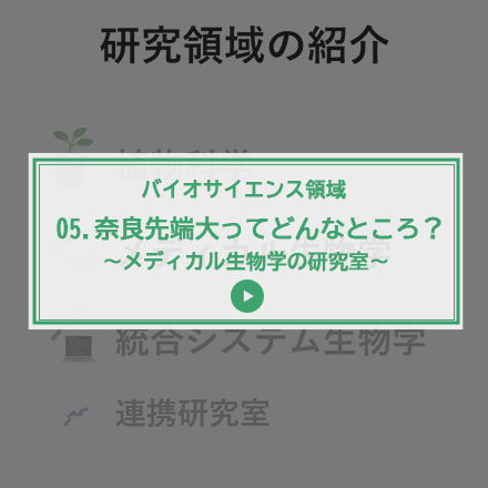 第5回 奈良先端大ってどんなところ？～メディカル生物学の研究室