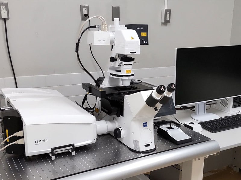 Confocal Laser Scanning Microscope