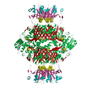 GTPCH I と GFRP との高活性型複合体の結晶構造