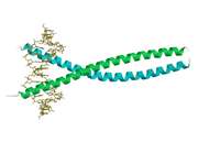 転写因子Pap1とDNAとの複合体の結晶構造
