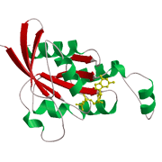 Mg2+イオン非結合状態のGDP結合型RhoAの結晶構造