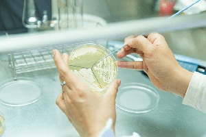 統合システム生物学分野イメージ図