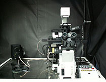 共焦点レーザー顕微鏡システム