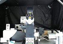 共焦点レーザー顕微鏡システム（Leica TCS-SP5）