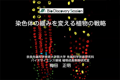 植物成長制御研究室の全学オンラインセミナー動画を公開しました。