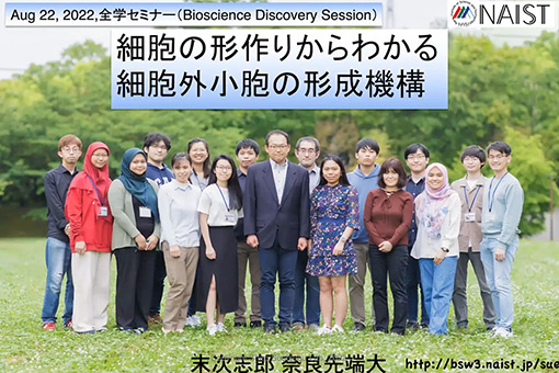 分子医学細胞生物学研究室の全学オンラインセミナー動画を公開しました。