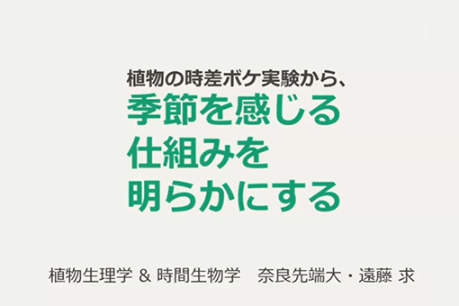 植物生理学研究室の全学オンラインセミナー動画を公開しました。