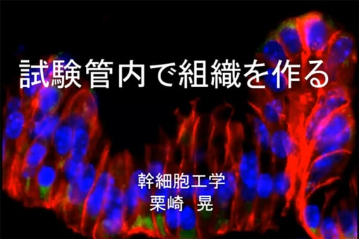 幹細胞工学研究室の全学オンラインセミナー動画を公開しました。