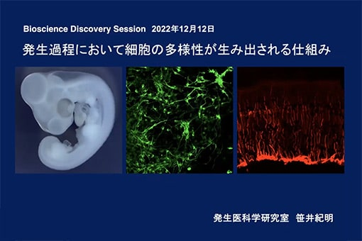 発生医科学研究室の全学オンラインセミナー動画を公開しました。