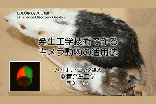 器官発生工学研究室の全学オンラインセミナー動画を公開しました。
