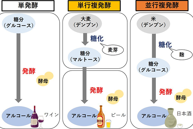 清水清三郎商店株式会社、株式会社Linné、いくひ合同会社 及び奈良先端科学技術大学院大学が日本酒醸造における並行複発酵の新たな意義の探索に関する 共同研究を開始<br />
