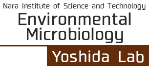 Nara Institute of Science and Technology Environmental Microbiology Yoshida Lab